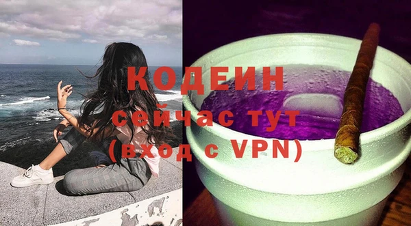 гидра Вязьма