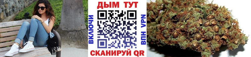 магазин  наркотиков  Дятьково  mega вход  Шишки марихуана Amnesia 